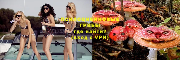 амф Сосновка