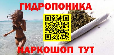 индика Аша