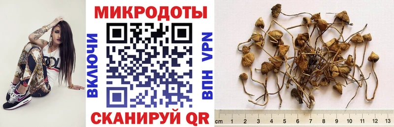 Псилоцибиновые грибы мухоморы  Бузулук 
