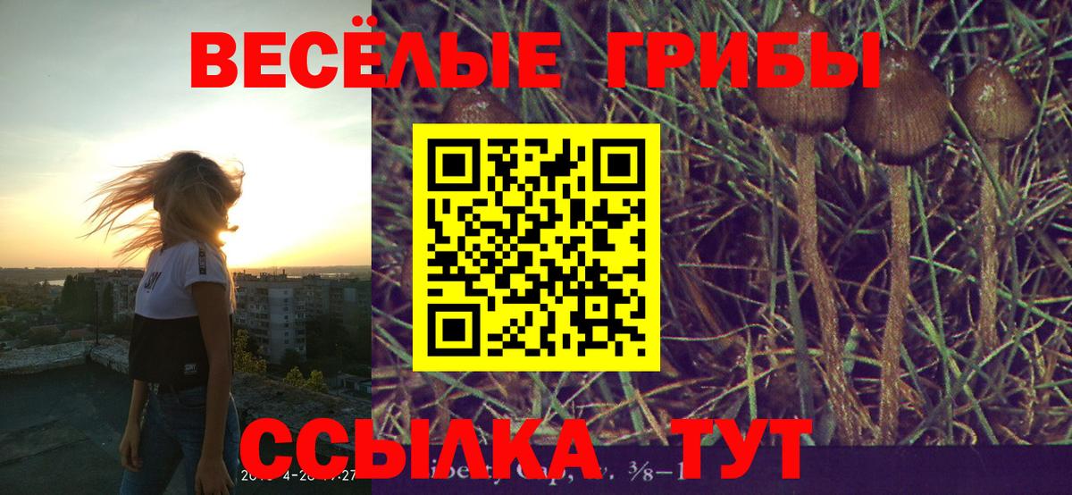 Псилоцибиновые грибы ЛСД Бузулук