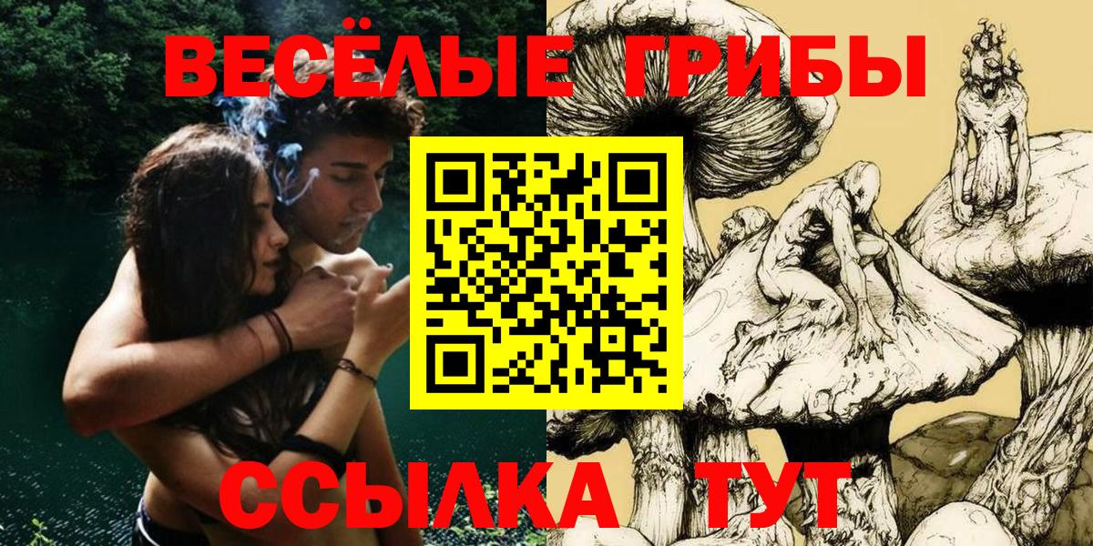 Псилоцибиновые грибы прущие грибы  закладки  Вход с VPN  Бузулук  Галлюциногенные грибы MAGIC MUSHROOMS 