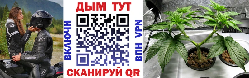 Бошки марихуана VHQ  Бузулук 
